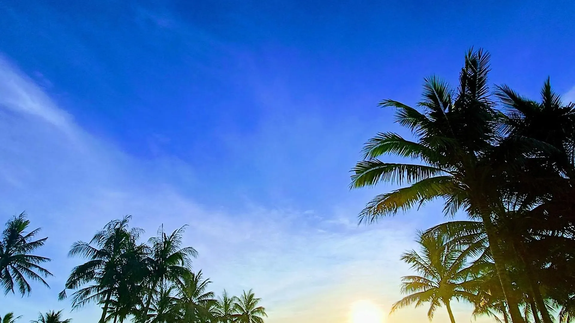 Villa 6 Bedrooms Luxury & Beachfront Da Nang